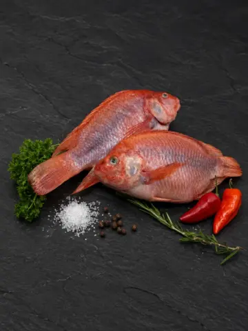 Tilapia roja a granel - Carnes La Favorita